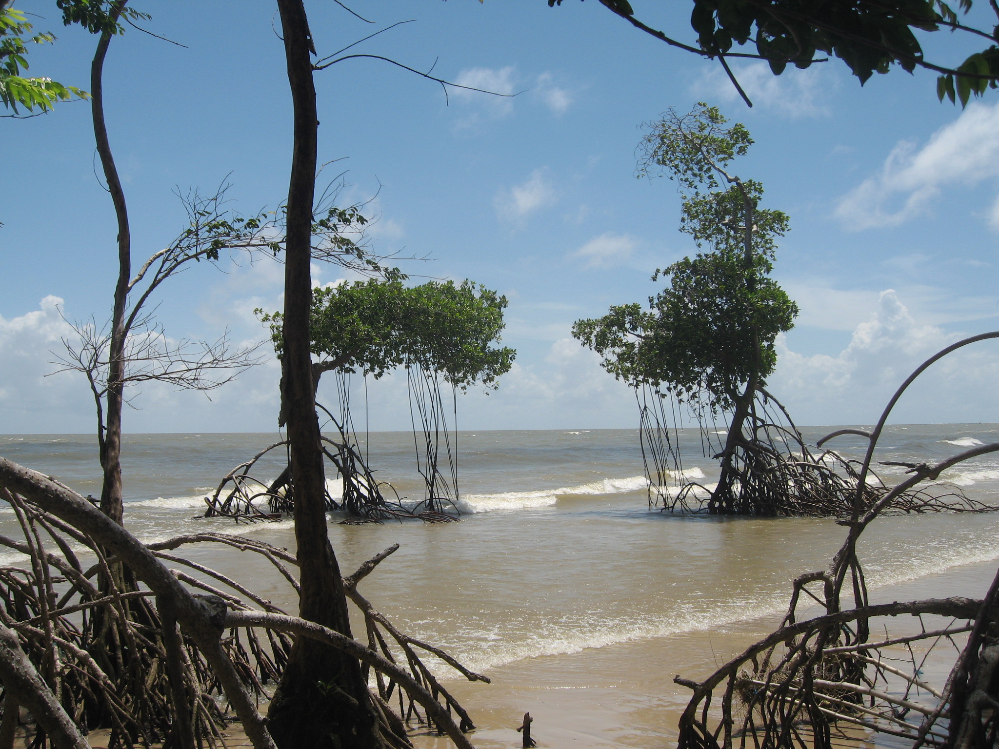 Soure Pará fonte: dynamic-media-cdn.tripadvisor.com Fonte: dynamic-media-cdn.tripadvisor.com